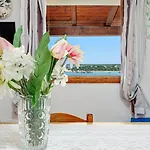 게스트하우스 Villaggio Marineledda