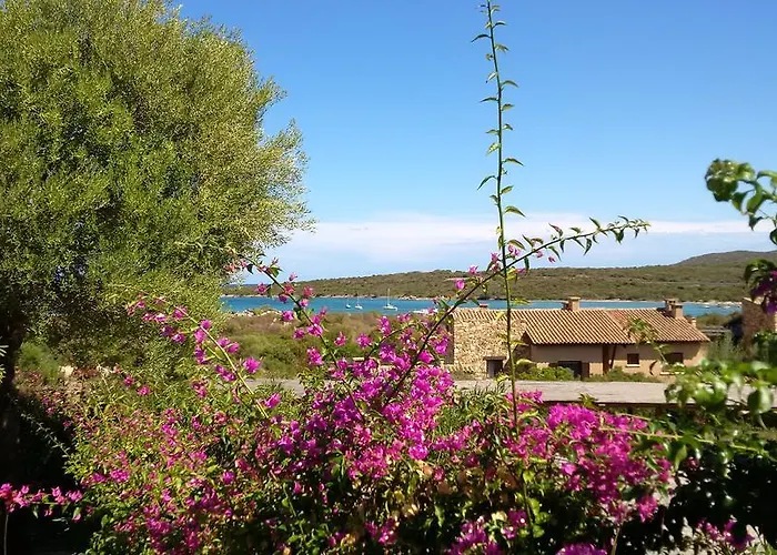 Guest house Vela Blu