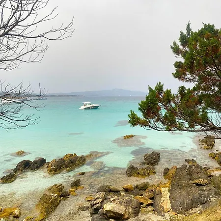 Vela Blu Πανσιόν 3*